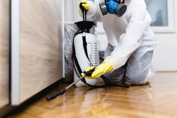 Best Ant Control Services  in Petaluma, CA