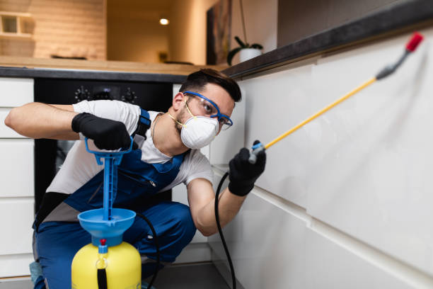 Best Best Pest Control Companies  in Petaluma, CA