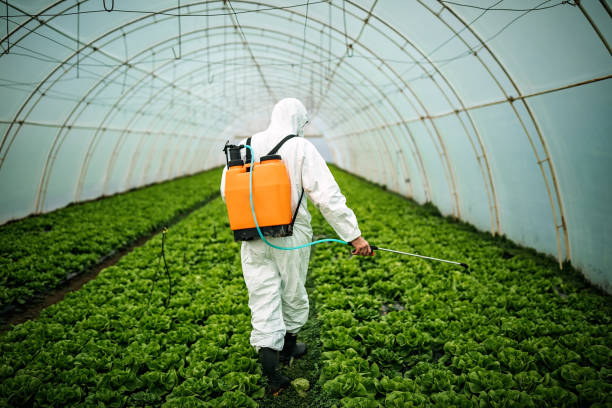 Best Insect Control  in Petaluma, CA