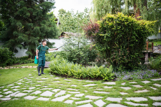 Flea Control Services in Petaluma, CA