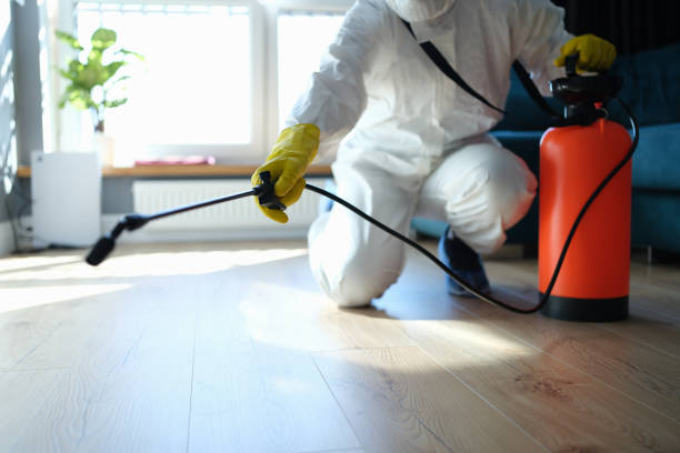 Pest Control for Restaurants in Petaluma, CA