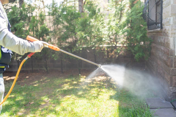Best Termite Control Services  in Petaluma, CA