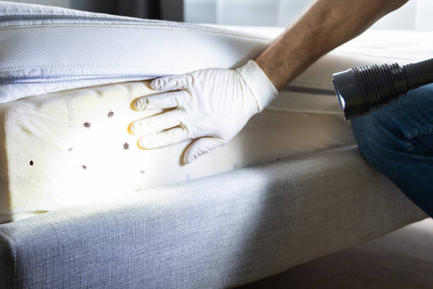 Best Pest Prevention Services  in Petaluma, CA