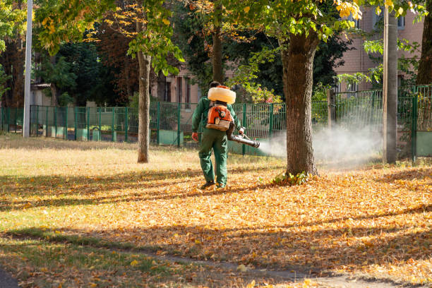 Best Pest Control Near Me  in Petaluma, CA