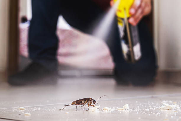 Pest Control Cost in Petaluma, CA