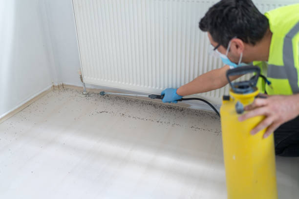Best Affordable Pest Control Services  in Petaluma, CA